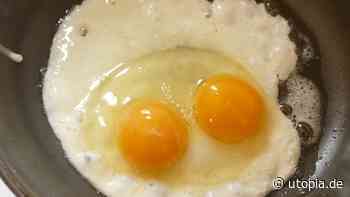 Ei mit zwei Eigelb: Sollte man es essen? - Utopia News