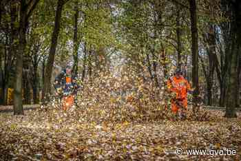Containers verzamelen herfstbladeren - Gazet van Antwerpen