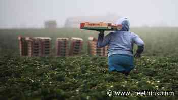 We need to rethink global food production to have a shot at our climate goals - Freethink