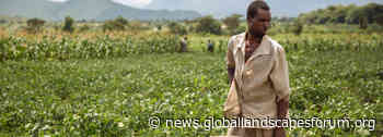 FOLUR program to transform global food systems launches at COP26 - Landscape News