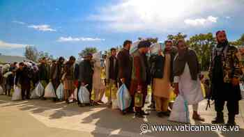 More than half of Afghans face acute food crisis - Vatican News