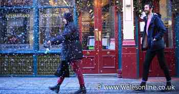 One in eight shoppers are stocking up on Christmas food and presents early this year - Wales Online