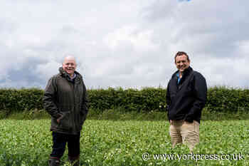 Climate change award shines light on Future Food Solutions' carbon bank | York Press - York Press