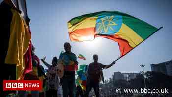 In pictures: Thousands join huge pro-government rally in Ethiopia