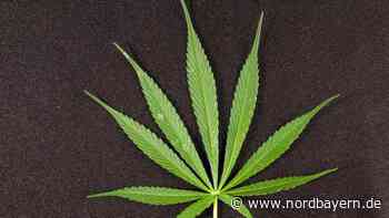 Dumm gelaufen: Nachbarschaftsstreit führt Erlanger Polizei zu Rauschgift - Nordbayern.de