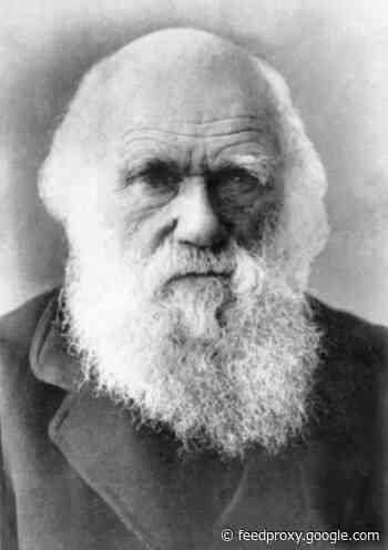 8 Inspirational Sayings From Charles Darwin