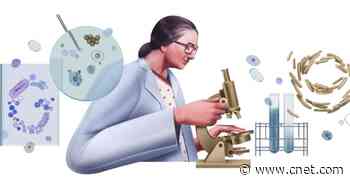 Google Doodle celebrates pioneering Indian biologist Kamal Ranadive     - CNET