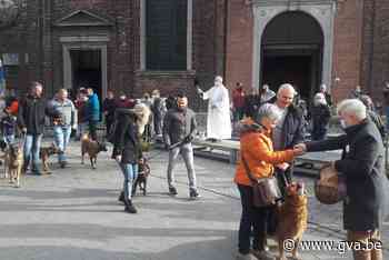 Honden en paarden gewijd op Sint-Hubertusviering (Niel) - Gazet van Antwerpen Mobile - Gazet van Antwerpen