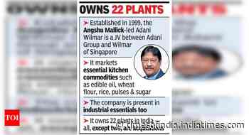 Adani targets food staples biz for expansion - Times of India