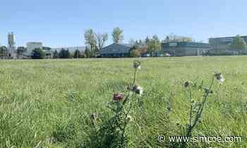 WHAT'S GOING ON HERE? Hydrovac facility to be built in Alliston's industrial area - simcoe.com