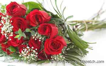 Ask the Master Gardener: There are good reasons to not cut down hardy plants for winter - Brainerd Dispatch