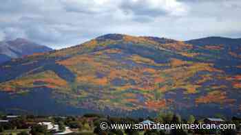 HOME: The Master Gardener—Falling, shedding, holding on - Santa Fe New Mexican