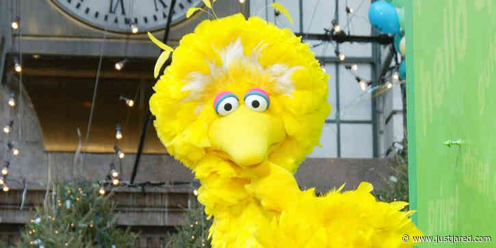 Big Bird Confirms He Got the Coronavirus Vaccine