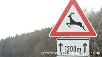 Kollision nach Wildunfall bei Senden: Zwei Personen verletzt - Augsburger Allgemeine