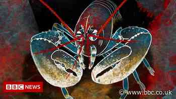 The space telescopes inspired by lobsters