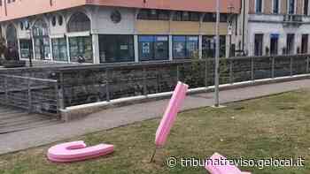 Oderzo, vandali contro la Lilt: fatti a pezzi i nastri rosa simbolo della prevenzione - La Tribuna di Treviso