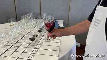 Wine show throws spotlight on the industry's diversity