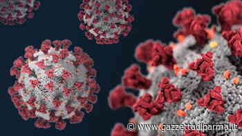 A Parma 22 nuovi casi di contagio (7 dei quali con sintomi) - Gazzetta di Parma