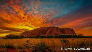 Tour operator forced to scale back business to Uluru