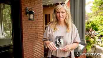 Dog owners confused and grieving after pet's journey to England ends badly