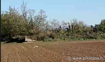 Samarate, a caccia vicino ai passanti - La Prealpina