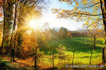Was ist der Martini-Sommer?
