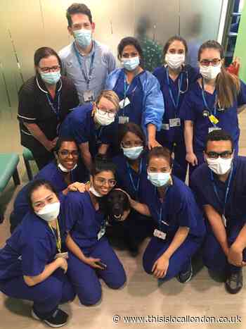 Dexter delights staff at Harrow's Northwick Park Hospital
