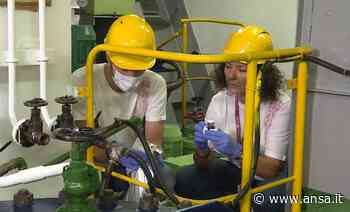 Ispra e Milano-Bicocca con Corsica Ferries cercano il Dna marino - Uomini e Mare - Mare - Agenzia ANSA