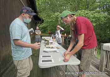 Arts program shows veterans how to turn their uniforms into healing paper - Pittsburgh Post-Gazette
