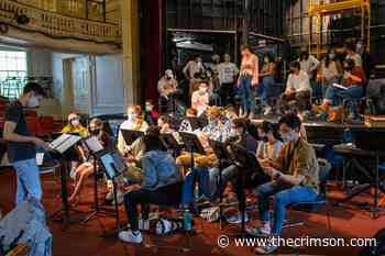 'Legally Blonde' Preview: A Pan-Asian Spin on a Harvard Classic | Arts - Harvard Crimson