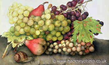 The house of Medici and its fascination with pear paintings