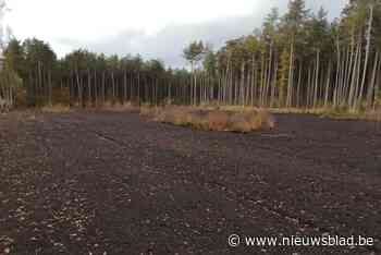 Freeswerken langs Reuselseweg moeten inheemse herbebossing mogelijk maken