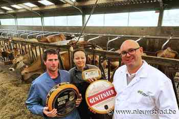 Little Cheese Farm scoort internationaal met drie kazen: “We hebben lat hoog gelegd, maar blijven ambitieus”