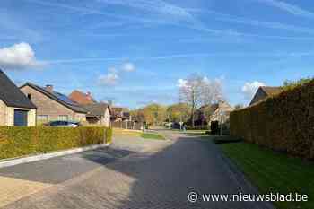 Dieven vluchten na inbraak weg