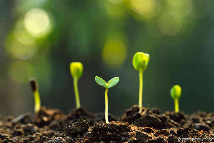 3 tips for planning a return to live events