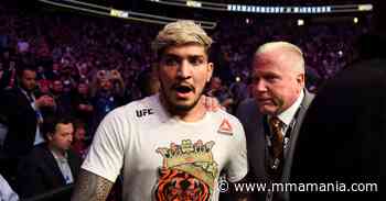 Dillon Danis slapped at UFC 268, ejected from Madison Square Garden - MMA Mania