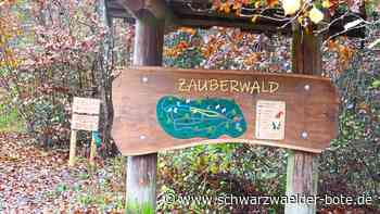 Ärgernis in Nagold: Vandalismus im neuen Zauberwald zerstört Kinderfreude