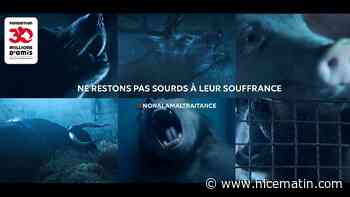 "L’Appel", le dernier film choc de la Fondation 30 Millions d’Amis