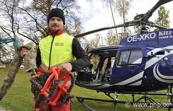 Hubschrauber holt kranke Bäume vom Oberhaus - Passau - Passauer Neue Presse