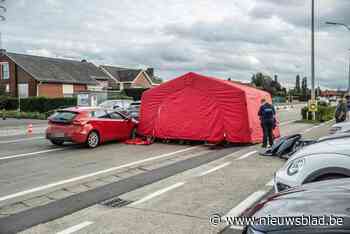 Milde straf voor bestuurder die dood van Nelly (82) veroorzaakte: “Hij wordt nog dagelijks met het ongeval geconfronteerd”