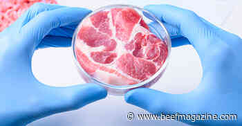 USDA grants $10m to help develop cultivated meat