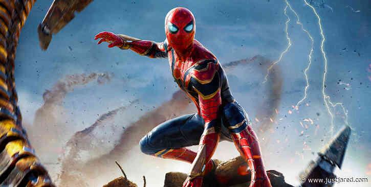 First 'Spider-Man: No Way Home' Poster Is Released, Fans Decipher It for Clues!