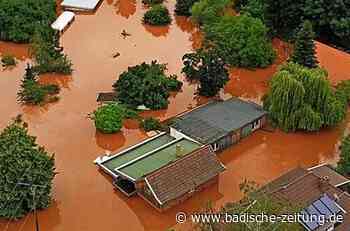 Lions spenden für Flutopfer - Breisach - Badische Zeitung
