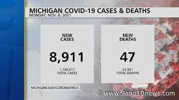 Michigan Health Officials Report 8911 Coronavirus Cases, 47 Deaths - 9 & 10 News - 9&10 News