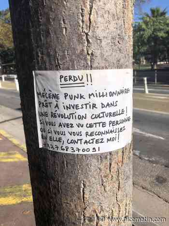 C’est quoi cette annonce collée sur les troncs d’arbres de Nice?