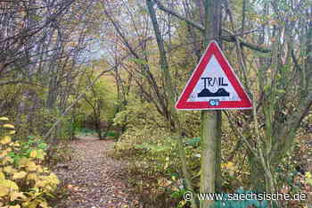 Dresden: Illegale Mountainbike-Strecken im Dresdner Südpark - Sächsische.de