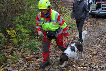 Dresden: Wuff! Auch Helden müssen üben - Rettungshunde im Probe-Einsatz - TAG24