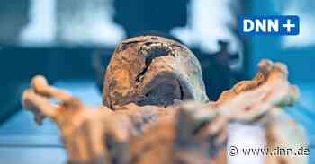 In Dresden erhält eine Mumie ihre Stimme zurück - Dresdner Neueste Nachrichten