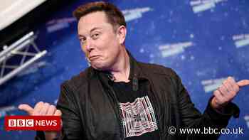 Tesla share price falls after Elon Musk's Twitter poll