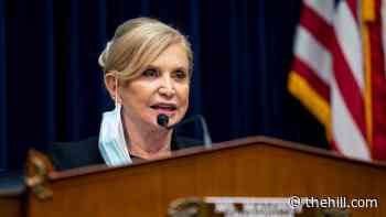 Democrats call on Education secretary to address 'stealthing' at federal level